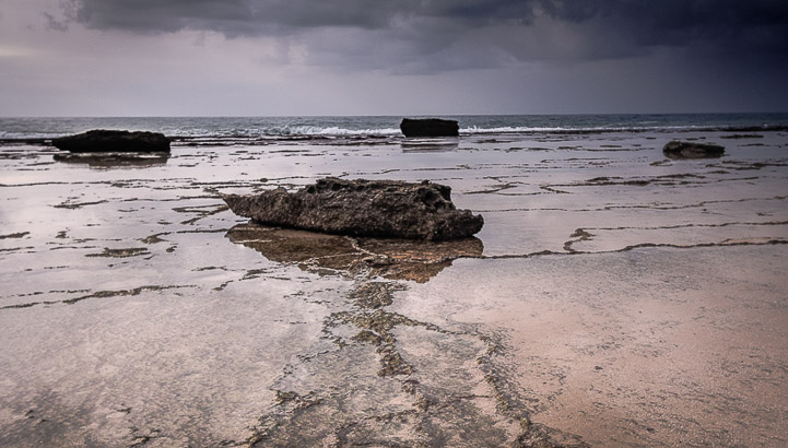 _MG_0081 (1)-EditarTrafalgar